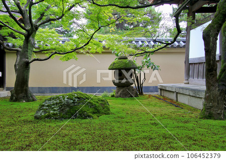 大德寺分院小梅院苔蘚石燈籠 106452379