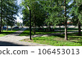 Street lantern on the summer foliage background. Sunshine 106453013