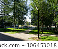 Street lantern on the summer foliage background. Sunshine 106453018