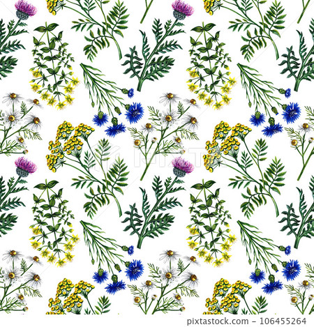 Seamless pattern with wild flowers. Watercolor hand drawn illustration. On a white background. For design solutions for backgrounds, packaging, labels and textiles. For banners, flyers and postcards. 106455264