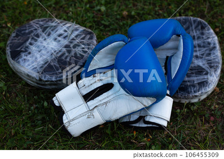 Shabby blue boxing gloves with black paws for practicing punches lie on the grass for street martial arts training 106455309
