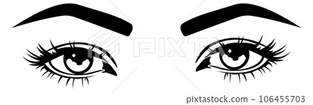 Woman eyes pair. Female makeup. Human beauty Woman eyes pair. Female makeup. Human beauty 106455703
