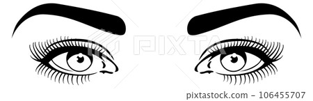 Pretty woman eyes with curvy eyebrows and long eyelashes 106455707