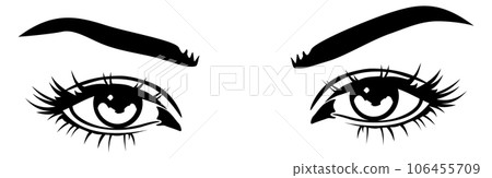 Female look drawing. Pair of pretty woman eyes 106455709