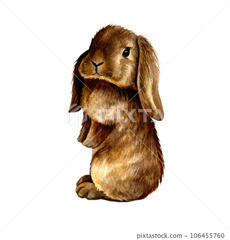 Rabbit baby is standing. Isolate on a white background. Watercolor illustration. 106455760