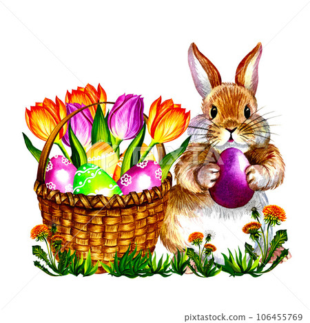 Easter composition banner with rabbit, basket and flowers. On a pink background. Watercolor illustration. Easter composition banner with rabbit, basket and flowers. On a pink background. Watercolor illustration. 106455769