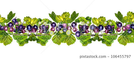 Blackcurrant, seamless frame border. Watercolor hand drawn illustration. On a white background. For labels, packaging and banners. For textiles, prints and stickers. For menus, invitation cards. 106455797