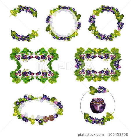 Set of frames with blackcurrant. Watercolor hand drawn illustration. Isolated. For labels, packaging and banners. For textiles, prints and stickers, menus, invitation cards. 106455798