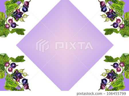 Blackcurrant, frame for the inscription. Watercolor illustration. Fresh natural health product. Isolated. For labels 106455799