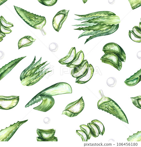 Aloe vera. seamless pattern. watercolor illustration. For labels and packaging of cosmetology, perfumery and medicine. 106456180