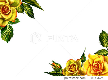 Roses are yellow. Floral frame. Watercolor illustration. For wedding, greeting and invitation cards watercolor design. 106456249