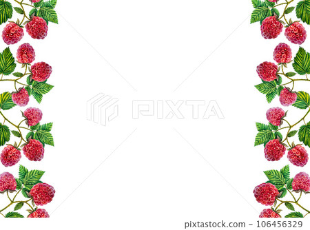Raspberry. Frame with raspberry branches with berries and leaves. watercolor illustration. Isolated on white background. 106456329