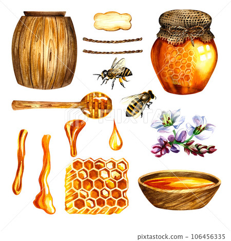 Honey set with jar, barrel, bees, honeycombs, buckwheat flowers. Isolate. watercolor illustration. For design solutions 106456335