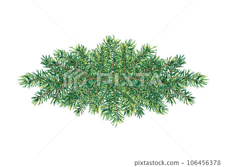 Branches of the Christmas tree. Watercolor illustration. Isolate. For the design of greeting and invitation cards Branches of the Christmas tree. Watercolor illustration. Isolate. For the design of greeting and invitation cards 106456378