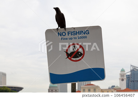 House crow on the top of a no fishing sign 106456407