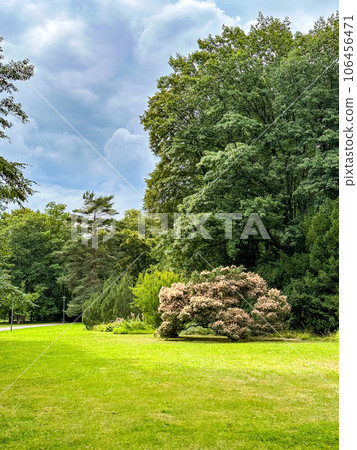 Britzer garden Britzer garden 106456471