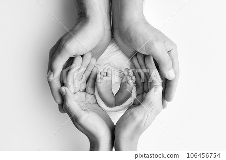 The palms of the father, the mother are holding the foot of the newborn baby. Feet of the newborn on the palms of the parents. Photography of a child's toes, heels and feet. Black and white macro. 106456754