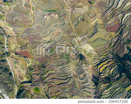 Rice terraces in Yuanyang, China Rice terraces in Yuanyang, China 106457200