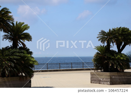 A landscape with a view of the blue sea, boats, horizon, blue sky and clouds in front of the coastal park planted with cycad trees 106457224