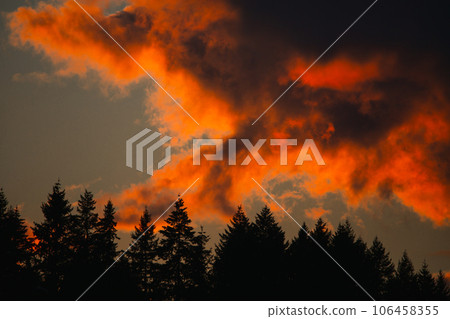 clouds lit by a fiery sunset clouds lit by a fiery sunset 106458355