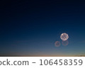Fireworks night sky 106458359