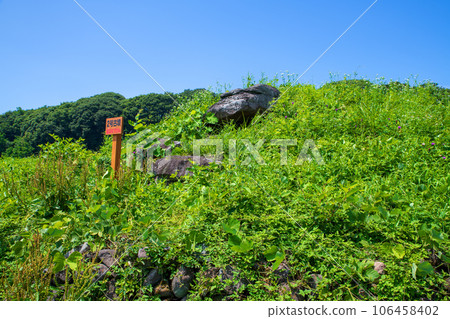Nara Tumulus Group, Tumulus No. 2, Midsummer Scenery, Numata City 106458402