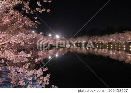 Shimoshirogane-cho, Hirosaki City, Aomori Prefecture, Illuminated Yoshino cherry blossom trees surrounding the west moat of Hirosaki Park and water mirrors on the surface of the water Shimoshirogane-cho, Hirosaki City, Aomori Prefecture, Illuminated Yoshino cherry blossom trees surrounding the west moat of Hirosaki Park and water mirrors on the surface of the water 106458467