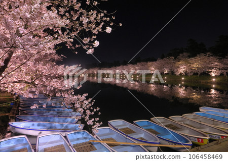 Shimoshirogane-cho, Hirosaki City, Aomori Prefecture, Illuminated Yoshino cherry blossom trees surrounding the west moat of Hirosaki Park and water mirrors on the surface of the water Shimoshirogane-cho, Hirosaki City, Aomori Prefecture, Illuminated Yoshino cherry blossom trees surrounding the west moat of Hirosaki Park and water mirrors on the surface of the water 106458469