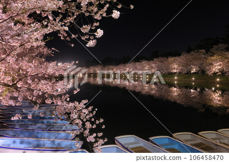Shimoshirogane-cho, Hirosaki City, Aomori Prefecture, Illuminated Yoshino cherry blossom trees surrounding the west moat of Hirosaki Park and water mirrors on the surface of the water Shimoshirogane-cho, Hirosaki City, Aomori Prefecture, Illuminated Yoshino cherry blossom trees surrounding the west moat of Hirosaki Park and water mirrors on the surface of the water 106458470