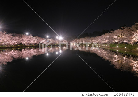 青森縣弘前市下白金町弘前公園西護城河周圍的染井吉野櫻花樹和水面上的水鏡 106458475