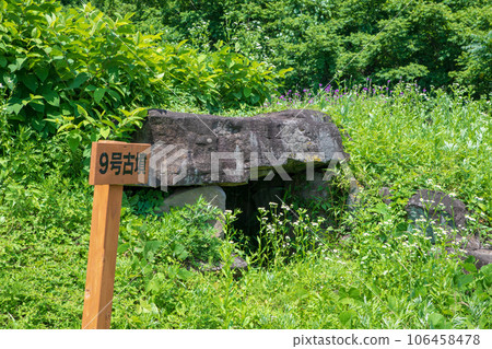 Nara Tumulus Group, Tumulus No. 9, Midsummer Scenery, Numata City Nara Tumulus Group, Tumulus No. 9, Midsummer Scenery, Numata City 106458478