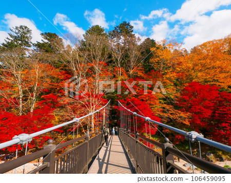 Suspension bridge in autumn leaves (Tochigi Prefecture, Shiobara Onsen, Beni no Suspension Bridge) Suspension bridge in autumn leaves (Tochigi Prefecture, Shiobara Onsen, Beni no Suspension Bridge) 106459095
