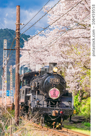(Shizuoka Prefecture) C108 SL running through Ieyama Sakura Tunnel (Shizuoka Prefecture) C108 SL running through Ieyama Sakura Tunnel 106459558
