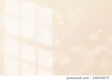 Background illustration _ window light 106459575