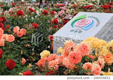Scenery of a rose park in Ina Town, Kita Adachi District, Saitama Prefecture 106459852