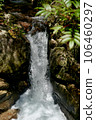 Yakushima: A small waterfall visible from the mountain trail 106460297