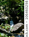 Yakushima Stream visible from the mountain trail 106460298