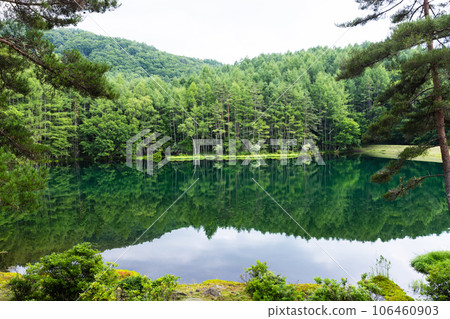 Beautiful Mishaka Pond in summer 106460903