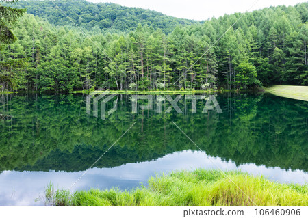 Beautiful Mishaka Pond in summer 106460906