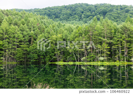 Beautiful Mishaka Pond in summer 106460922