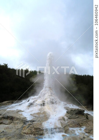 Lady Knox Geyser at Wai-O-Tapu Thermal Wonderland Lady Knox Geyser at Wai-O-Tapu Thermal Wonderland 106460942