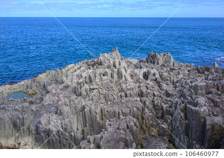 日浦岬的柱狀節理 106460977