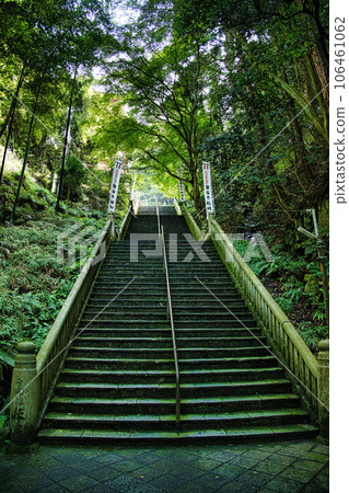 京都Ran Taniyama Fudo-inu 京都Ran Taniyama Fudo-inu 106461062