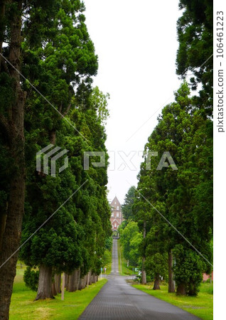 Trappist monastery and avenue 106461223