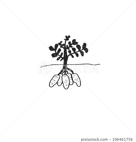 Potato drawing Potato drawing 106461756