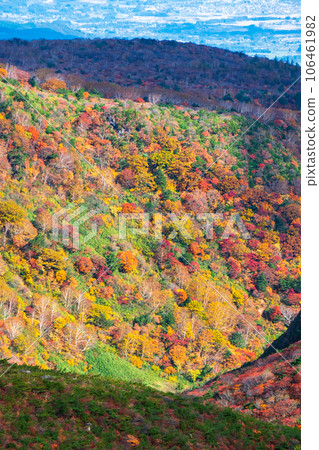 秋季攀登足立度母山：黑金小屋附近的紅葉 106461982