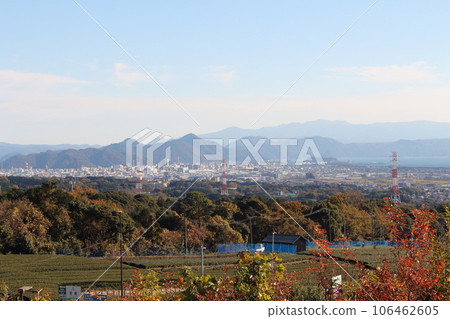Tea plantation and Numazu city seen from Suruga Bay Numazu SA 106462605