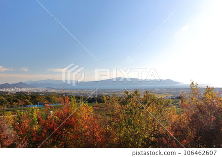 Autumn leaves trees and Suruga Bay Autumn leaves trees and Suruga Bay 106462607