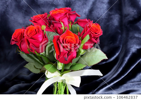 Roses On The Fabric Background 106462837