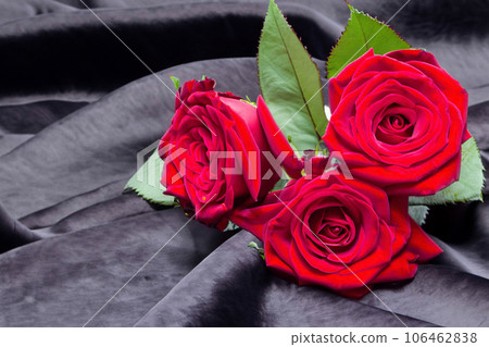 Roses On The Fabric Background Roses On The Fabric Background 106462838